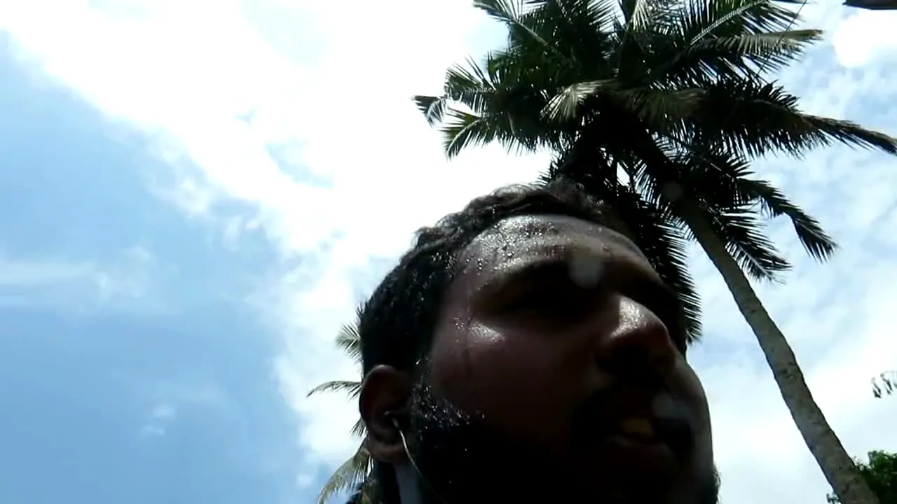 A low angle walking frame under palm trees.